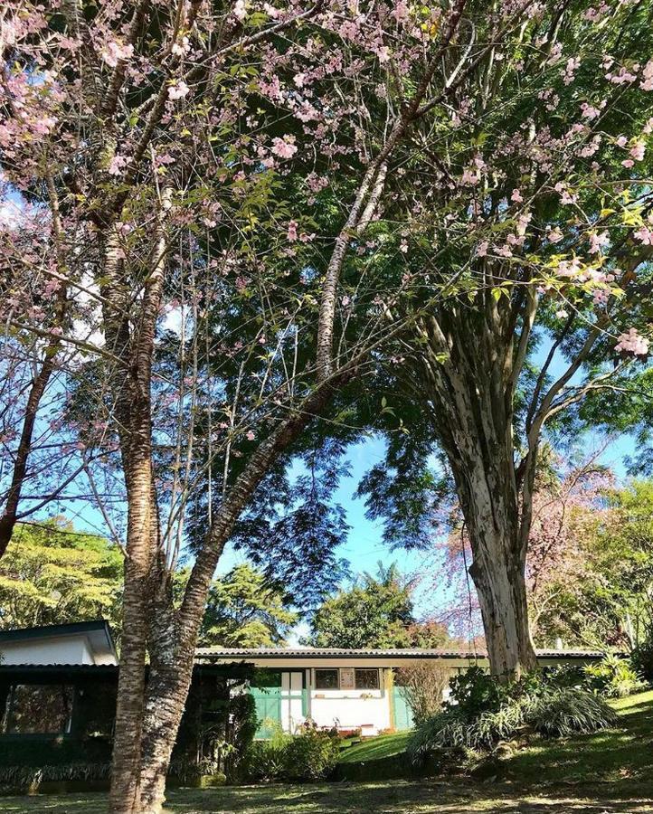 Pinheiros do Rocio Araras Exterior foto