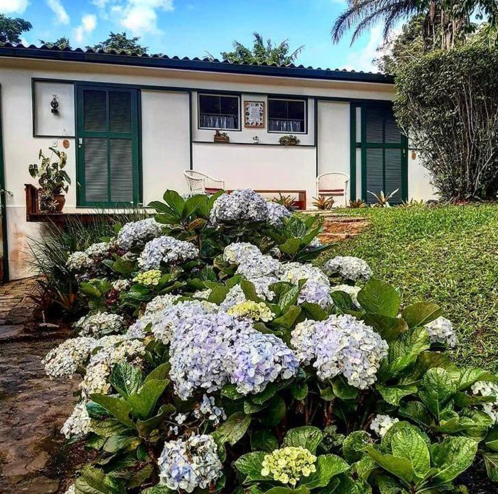 Pinheiros do Rocio Araras Exterior foto