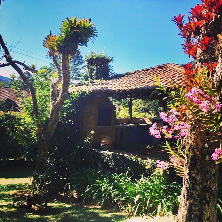 Pinheiros do Rocio Araras Exterior foto