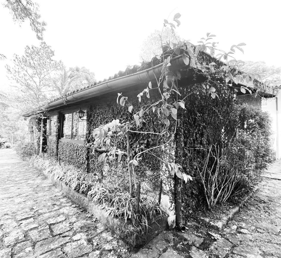 Pinheiros do Rocio Araras Exterior foto